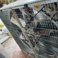 موتورجت بخاری|ماشینآلات صنعتی|رامهرمز, |دیوار