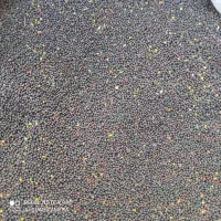 کلزا|خدمات باغبانی و درختکاری|گالیکش, |دیوار