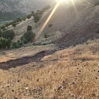 فروش-زمین-چورژی