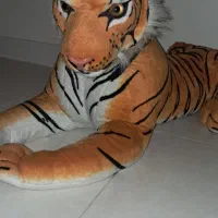 دو عدد ببر جنس خارجی قابل شستشو کاملا نو