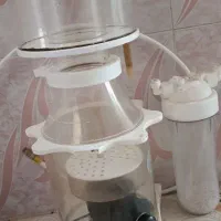 نور و دوتا اسکیمر