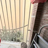 ۵۲متر،امیریه/مختاری غربی|فروش آپارتمان|تهران, امیریه|دیوار