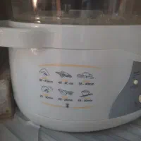 بخار پز|اجاق گاز و لوازم برقی پختوپز|تهران, خاک سفید|دیوار