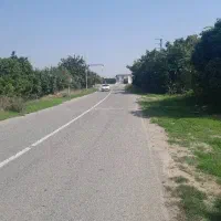 زمین گشاورزی|فروش دفتر صنعتی، کشاورزی، تجاری|کیاکلا, |دیوار