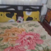 تخت دونفره همراه درایور ۵ کشو