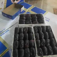 خرما رطب|عمده‌فروشی|خسروشاه, |دیوار