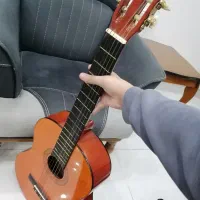 گیتار|گیتار، بیس، امپلیفایر|سبزوار, توحیدشهر|دیوار