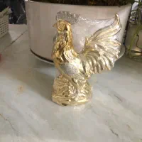 خروس طلایی