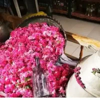 تور یک روزه کاشان ویژه بانوان  18اردبهشت