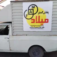 راننده همراه با ماشین مسقف