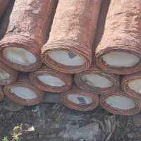 سبدزنبور عسل