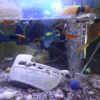 آکواریم بزرگ خوب به همراه کلیه وسایل و تعدادی ماهی