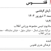 دو عدد بلیط کنسرت آرمان گرشاسبی