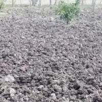 شخم زدن باغ|خدمات باغبانی و درختکاری|رودبنه, |دیوار