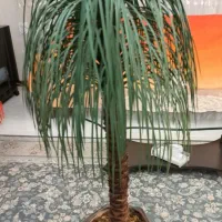 درختچه و گل