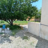 باغ سند دار