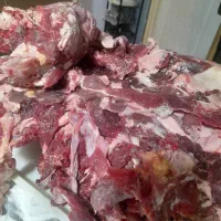 گوشت گوساله کشتاروز|خوردنی و آشامیدنی|مشکین‌دشت, |دیوار