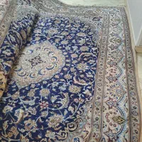 فرش دستبافت|فرش|تهران, مشیریه|دیوار