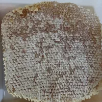 عسل ارگانیک کردستان ( سقز)