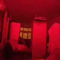 همخونه خانم موجه