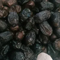 خرما فله امساله