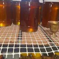 عسل کوهی اصل جنس بشکرد ارسال  به کل ایران