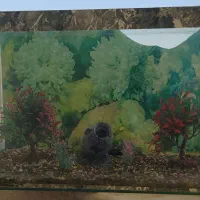 آکواریوم ماهی سایز بزرگ