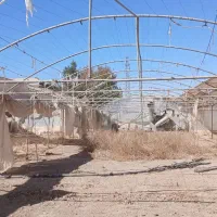 فروش سازه گلخانه|مصالح و تجهیزات ساختمان|مبارکه, |دیوار