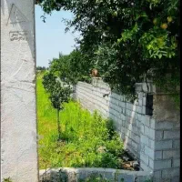 فروش فورش۲۶۰مترمرکبات بااب وبرق|فروش زمین و ملک کلنگی|بابل, |دیوار