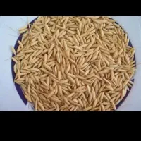 شلتوک برنج خرده برنج