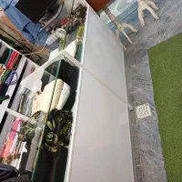 تجهیزات کامل مغازه اتاق پرو MDF قفسه و پیشخوان|فروشگاه و مغازه|رشت, پیرکلاچای|دیوار