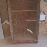 فروش قفس بزرگ جادار با وسایل مفت