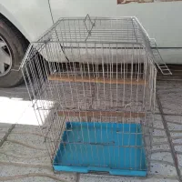 قفس پرنده سایز بزرگ|لوازم جانبی حیوانات|بروجرد, |دیوار