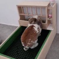 توالت کینگ سایز خرگوش