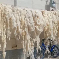 پشم شسته|رختخواب، بالش، پتو|خوی, |دیوار