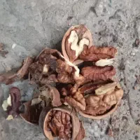 گردو فسنجونی ۶۰درصدسفید|خوردنی و آشامیدنی|اصفهان, کشاورزی|دیوار