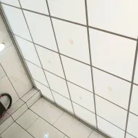 کناف .پلکسی. نورپردازی .لاین نوری|خدمات پیشه و مهارت|سنندج, |دیوار