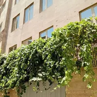 ۴۹متر ۱ خواب/ پارکینگ بدون مزاحم/ آسانسور/ منتظری|اجارهٔ آپارتمان|تهران, امام حسین(ع)|دیوار