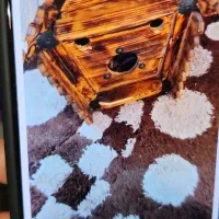 فروش لونه چوبی قیمت دوملیون