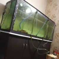 آکواریوم بزرگ ماهیران به همراه میز|ماهی|اصفهان, باغ کاران|دیوار