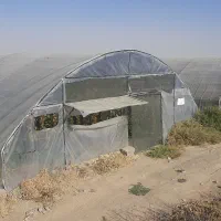 گلخانه طونلی ۲ عدد|فروش دفتر صنعتی، کشاورزی، تجاری|قلندر آباد, |دیوار