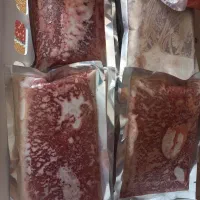 غذای منجمد ماهی بیومس دافنی