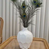 انواع پرهای زیبای طاووس