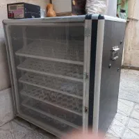 دستگاه جوجه کشی