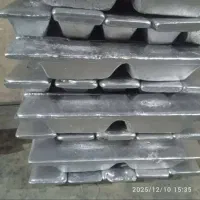 سرمایه گذار میخام