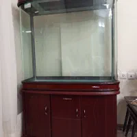 اکواریوم چینی