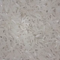 برنج فجر سوزنی