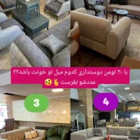 مبل استیل راحتی تخت خواب شو چستر مینیمال صدفی|مبلمان خانگی و میز عسلی|اندیشه, شهرک مریم|دیوار