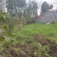 فروش ۵۰۰متر زمین مسکونی ساحلی زیر قیمت منطقه|فروش زمین و ملک کلنگی|خشکبیجار, |دیوار