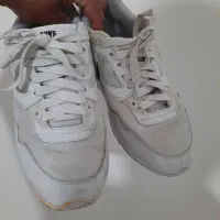 کتونی اورجینال|کیف، کفش، کمربند|محمدشهر, ولدآباد|دیوار